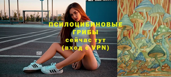 гидра Армянск