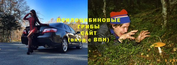 гидра Армянск