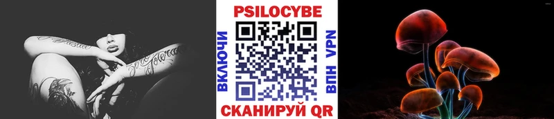 kraken сайт  Лахденпохья  Псилоцибиновые грибы Cubensis 